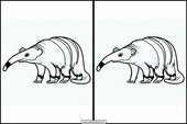Anteaters - Animals 4