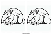 Anteaters - Animals 5