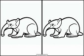 Anteaters - Animals 6