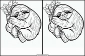 Sloths - Animals 3