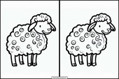 Sheep - Animals 2