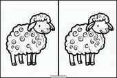 Schapen - Dieren 2