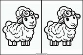 Sheep - Animals 5