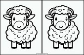 Schafe - Tiere 6