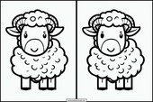 Sheep - Animals 6