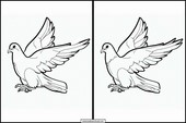 Pigeons - Animals 5