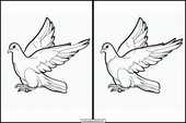 Pigeons - Animals 5