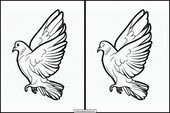Pigeons - Animals 6