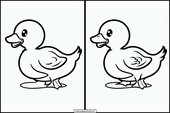 Ducks - Animals 1