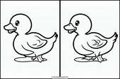 Patos - Animales 1