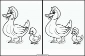 Patos - Animais 2
