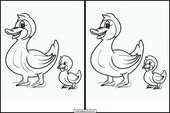 Enten - Tiere 2