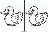 Ducks - Animals 3