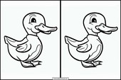 Ducks - Animals 4