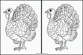 Turkeys - Animals 1