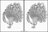 Peacocks - Animals 3