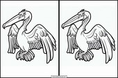 Pelicanos - Animais 1