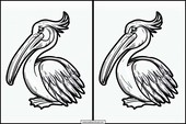 Pelikanen - Dieren 4