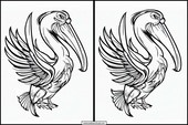 Pelikane - Tiere 7