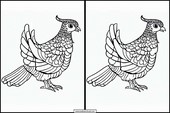Partridges - Animals 4