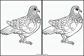 Partridges - Animals 5