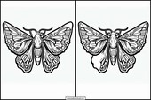 Papillons de nuit - Animaux 1