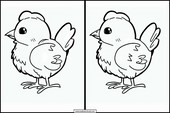 Kycklingar - Djur 2