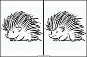 Porcupines - Animals 3