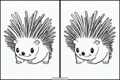 Porcupines - Animals 5