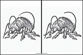 Fleas - Animals 2