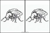 Fleas - Animals 3