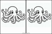 Octopuses - Animals 4
