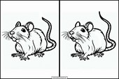 Ratten - Tiere 1