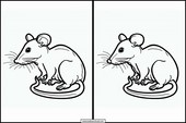 Ratten - Tiere 3