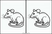 Rats - Animaux 3