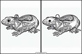 Salamanders - Animals 1