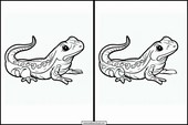 Salamander - Tiere 2