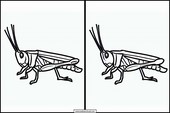 Græshopper - Dyr 1