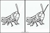 Gräshoppor - Djur 2