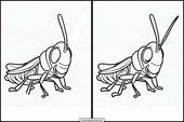 Grasshoppers - Animals 2