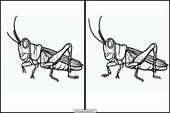 Gräshoppor - Djur 3