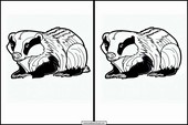 Badgers - Animals 1