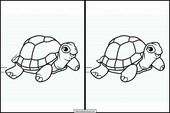 Turtles - Animals 3