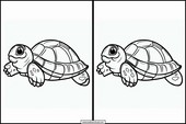 Schildkröten - Tiere 5