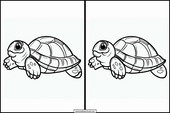 Tortues - Animaux 5