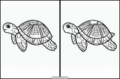 Sköldpaddor - Djur 6