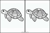 Turtles - Animals 6