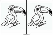 Toucans - Animals 2