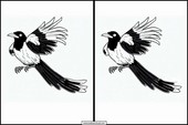 Magpies - Animals 1