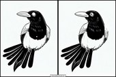 Magpies - Animals 2